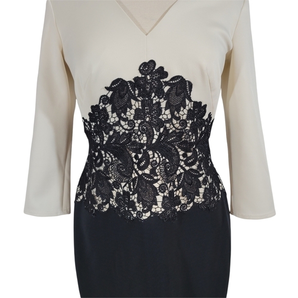 Tadashi Shoji White & Black Lace Trumpet Dress - Picture 2 of 8